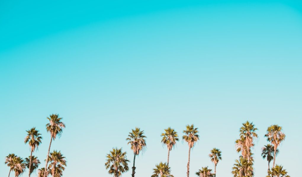 Photo granatowa marynarka